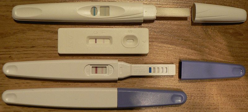 圖 13， 驗孕棒，一種檢測懷孕的器具，形狀像一根筆，外觀扁平，有一觀察區域顯示測試結果。